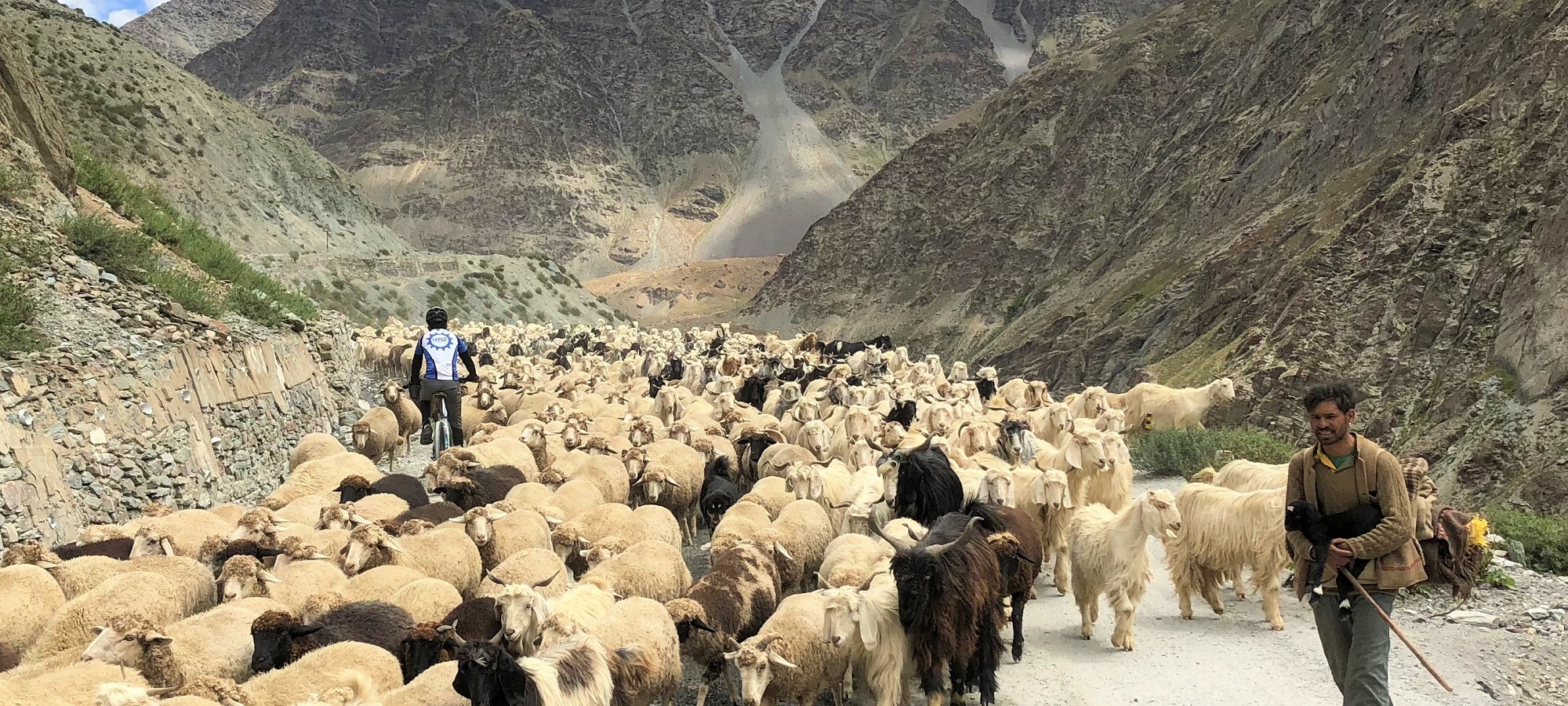 Cycling Holidays Himalaya